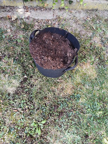 Growreport Bild 24