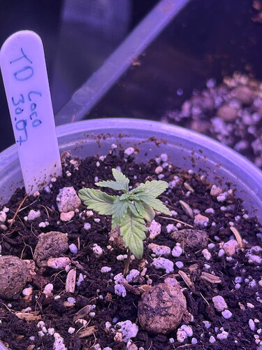 Growreport Bild 26