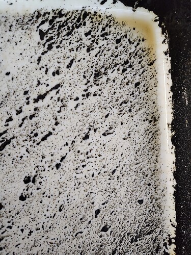 IMG_20251028_132926429