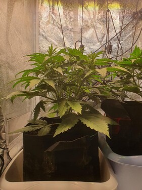 29 Tage_2025-05-25-161945_006