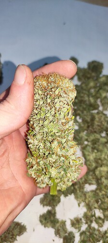 Growreport Bild 9