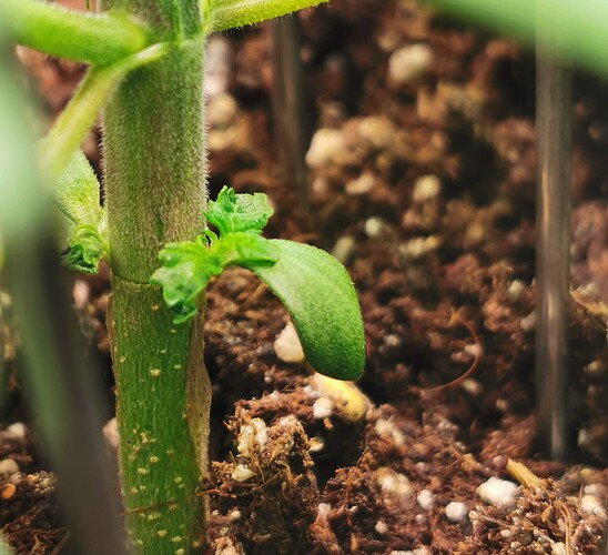 Growreport Bild 12