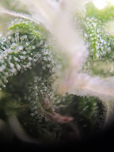 MVIMG_20251112_213157