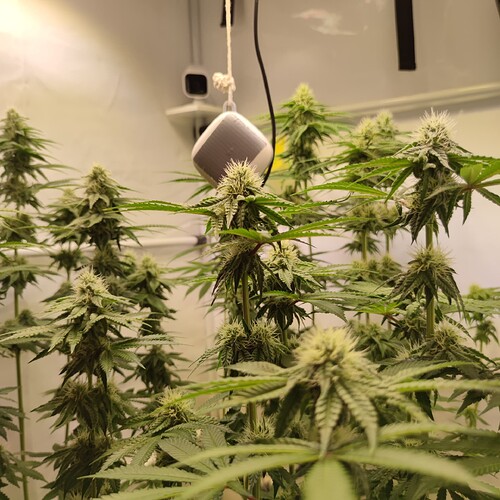 Growreport Bild 14