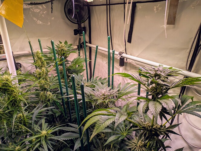 Growreport Bild 6