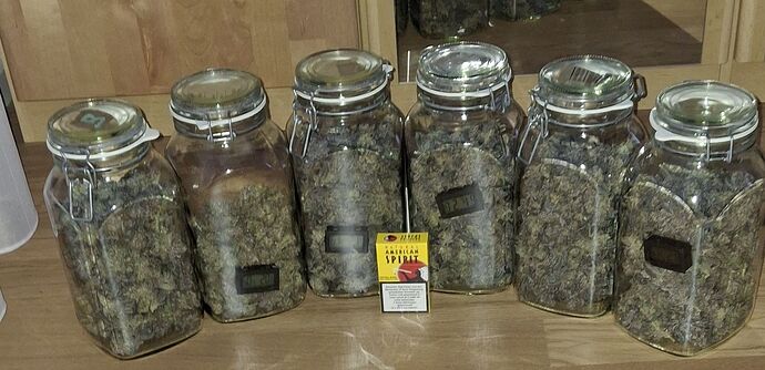 Growreport Bild 54