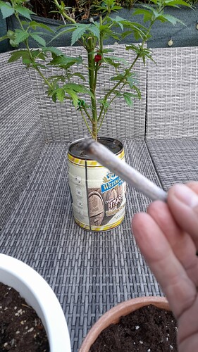 Growreport Bild 6
