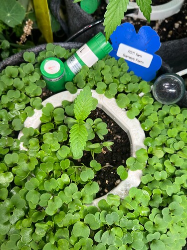Growreport Bild 50