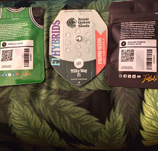 Growreport Bild 6
