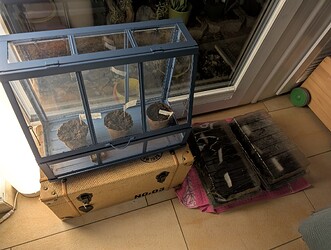 PXL_20250327_223147969.MP