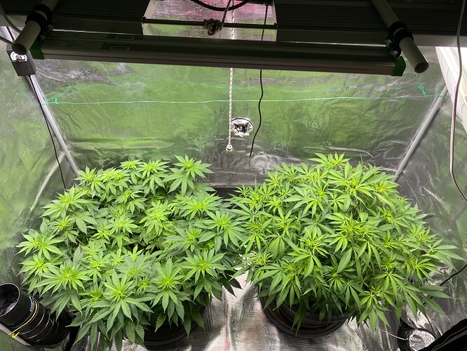 Growreport Bild 64