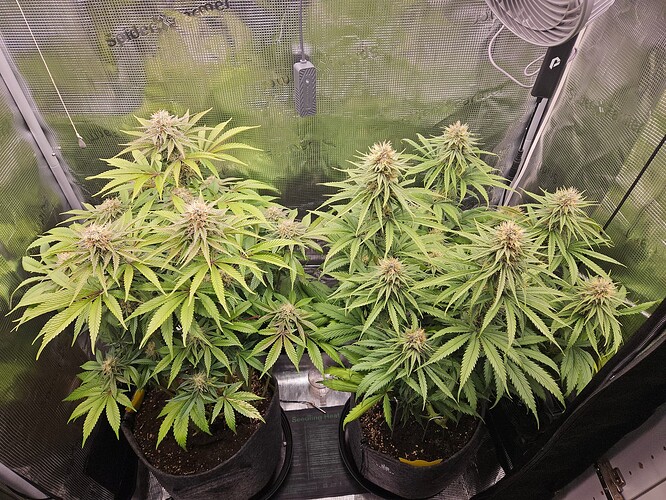 Growreport Bild 14