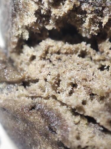 Growreport Bild 32
