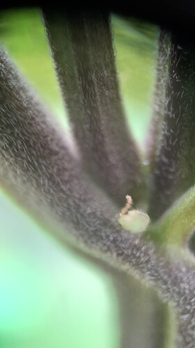 Growreport Bild 2