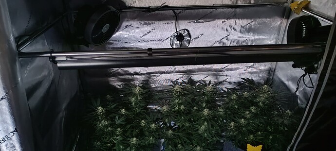 Growreport Bild 11