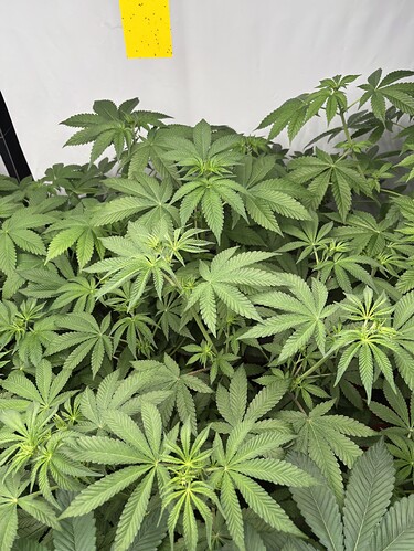 Growreport Bild 8