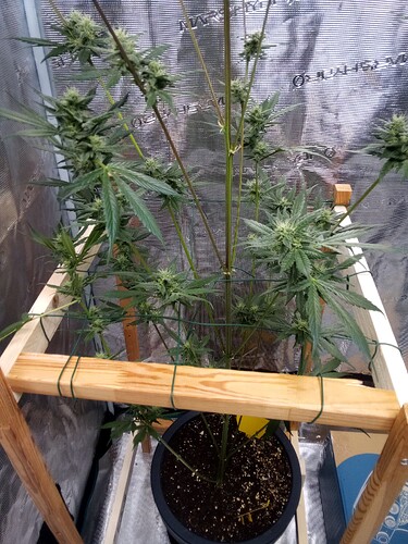 Growreport Bild 14