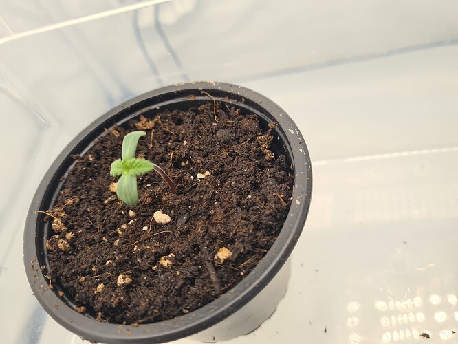 Growreport Bild 14