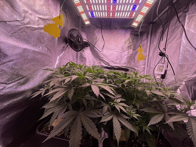 Growreport Bild 5