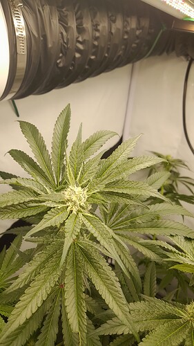 Growreport Bild 8
