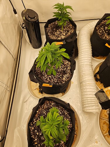 Growreport Bild 14