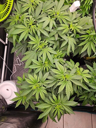 Growreport Bild 5