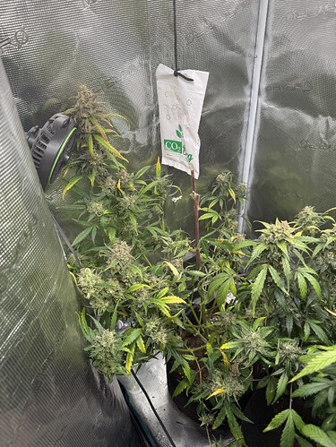 Growreport Bild 11