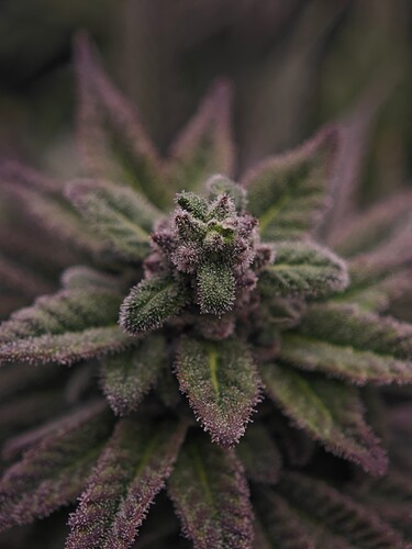 Growreport Bild 11