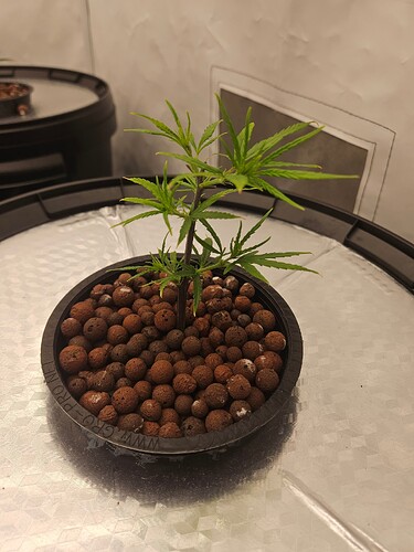 Growreport Bild 21