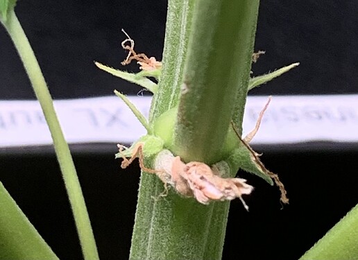 Growreport Bild 13