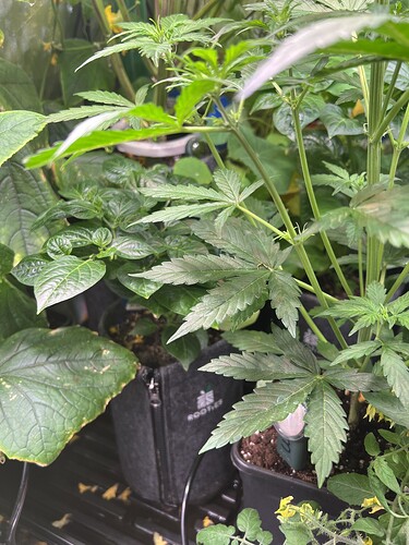 Growreport Bild 14