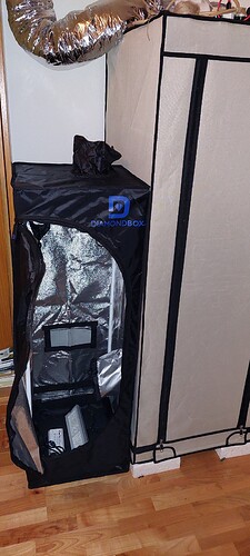 Growreport Bild 4