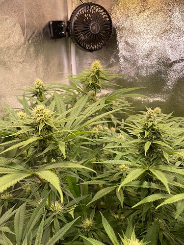 Growreport Bild 22