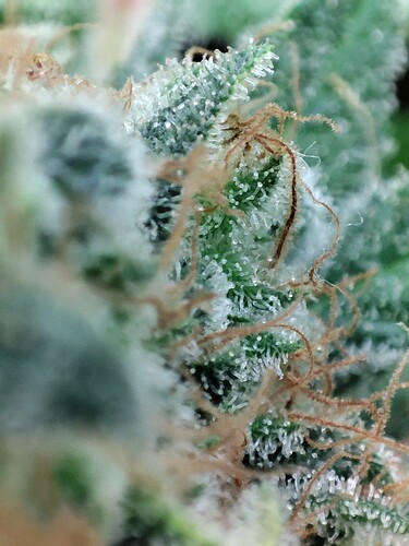 Growreport Bild 26
