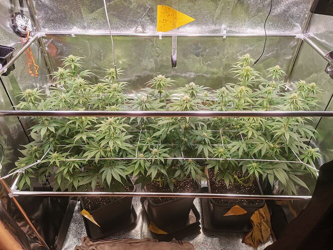 Growreport Bild 5