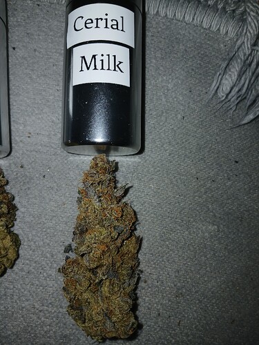 Growreport Bild 27