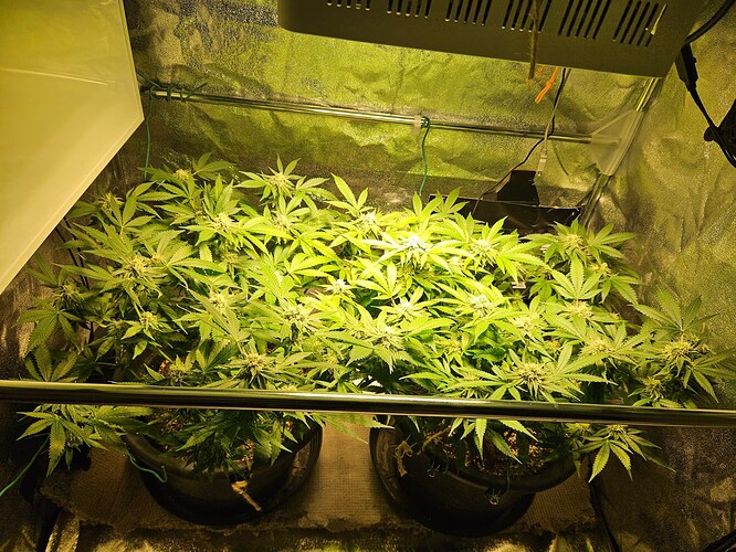 Growreport Bild 9