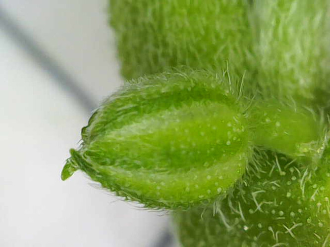 Image_2025-04-25 08_56_53_662