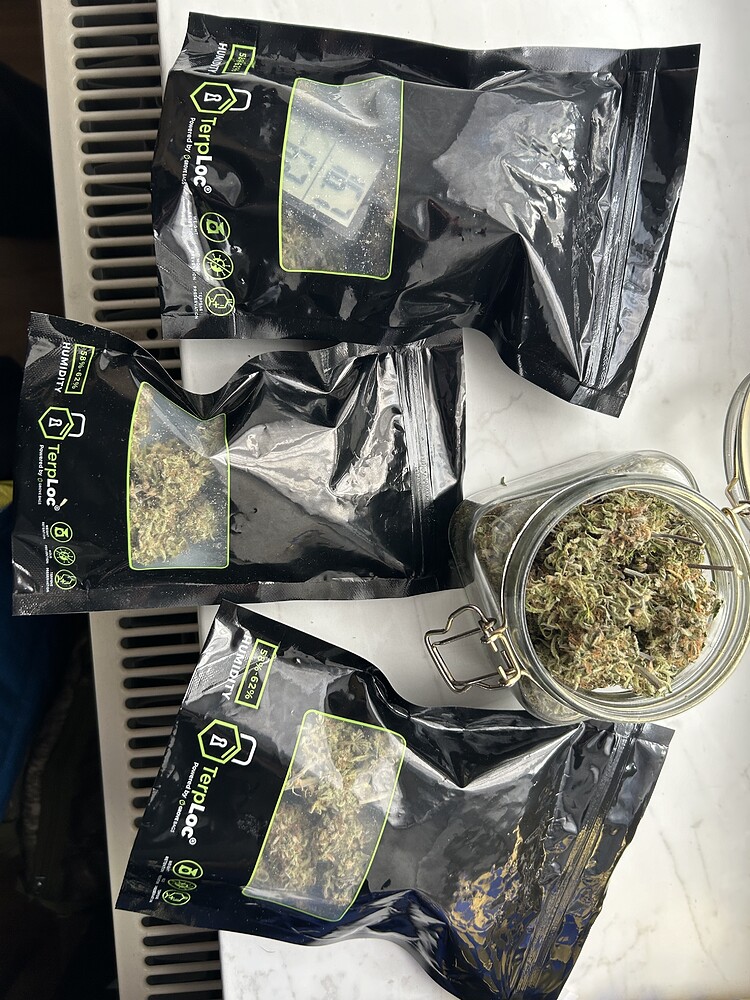 3. Grow 80x80 Mr. GH‘s 3 Besten Freunden die man sich nur wünschen kann 🥰😉