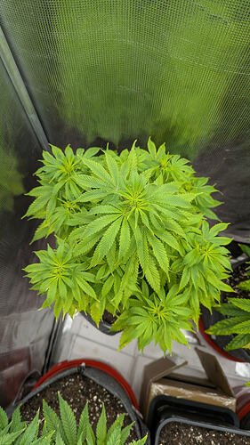 Growreport Bild 9
