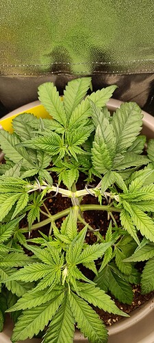 Growreport Bild 16