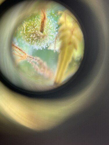 Growreport Bild 12