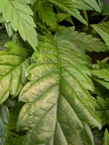 Growreport Bild 10