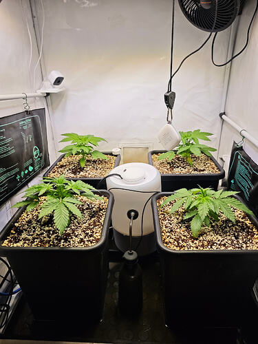 Growreport Bild 15