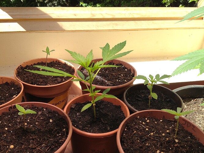 Grow25_0511_02