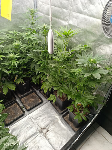 Growreport Bild 24