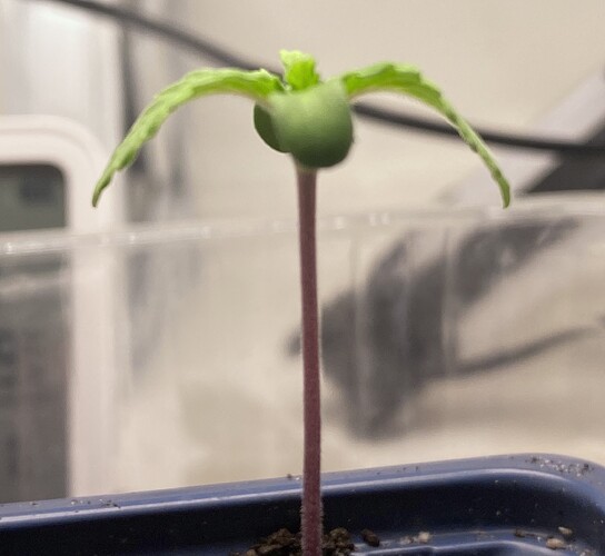 Growreport Bild 18