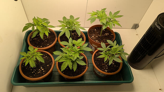 PXL_20260122_120743248.MP