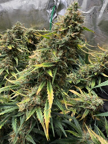 Growreport Bild 18