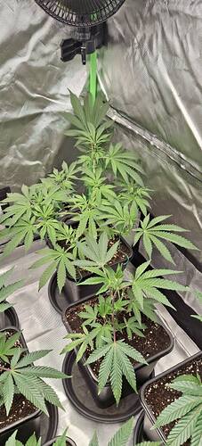 648792646_122227223474293599_5259884599434133709_n